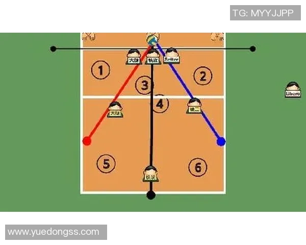 武汉排球队在全国锦标赛中的耐力表现与战术分析